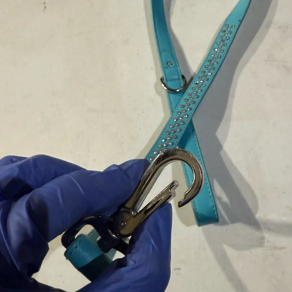 Teal Leather Dog Leash with Rhinestone Accents